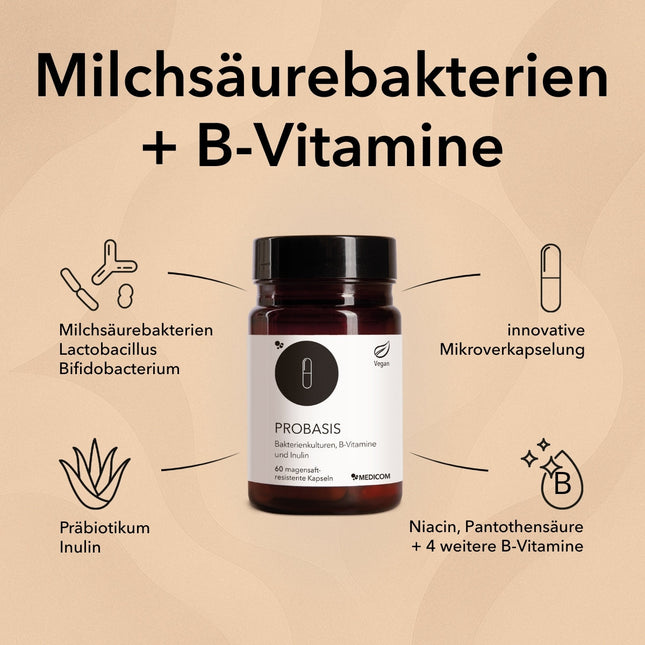 Spezifische Produktinformationen zum Produkt ProBasis mit der Angabe von Milchsäurebakterien, Informationen zur Kapsel und weiteren Inhaltsstoffen wie B-Vitaminen und Inulin