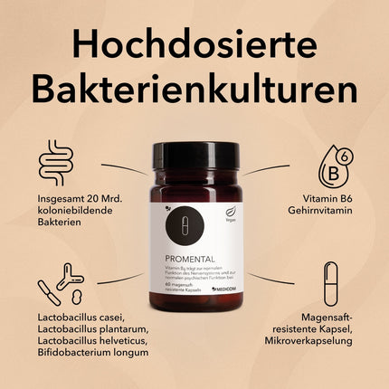 Spezifische Produktinformationen zu ProMental mit Angabe von 20 Mrd. KBE Bakterienkulturen, Vitamin B6 und Informationen zur Kapsel 